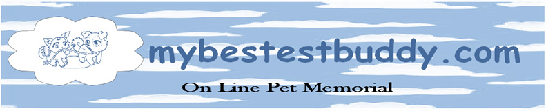 MBBTITLELOGO